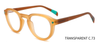  Retro Round Plastic Injection Eyeglasses Frames 